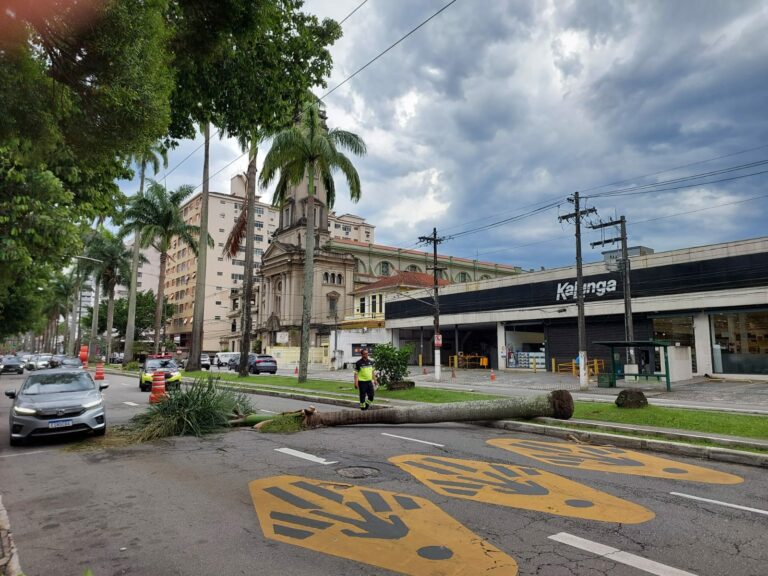 “Não deu outra”: Baixada Santista sofre com chuva e ventania