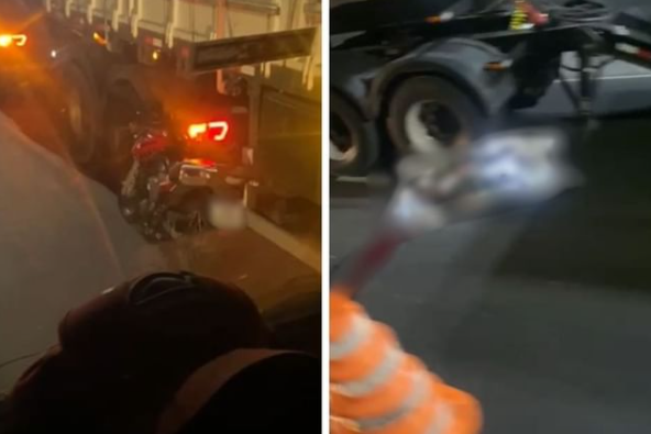 reprodução guaruja e região