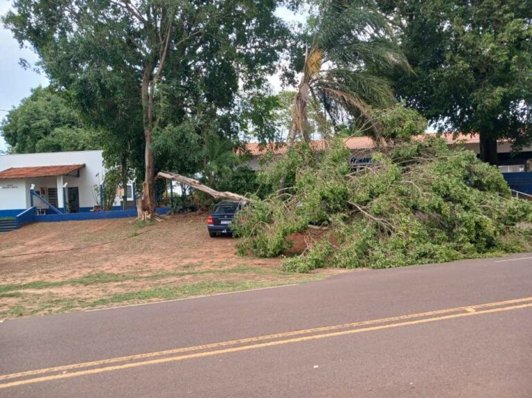 Queda de árvore danifica veículos e afeta rede elétrica em escola rural de Araçatuba