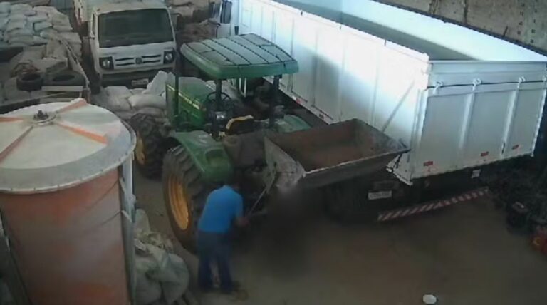 Homem é multado em R$ 6 mil por matar cachorro enforcado no interior de SP