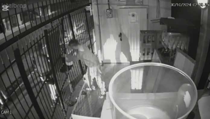 FURT CERVEJAS 2 Dupla é presa em flagrante furtando cervejas de adega em Itatiba