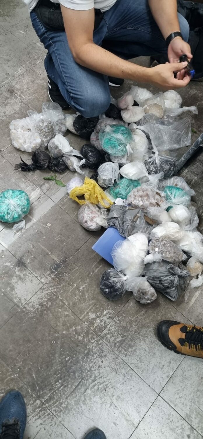 Polícia Civil apreende mais de 7 kg de drogas em Pindamonhangaba