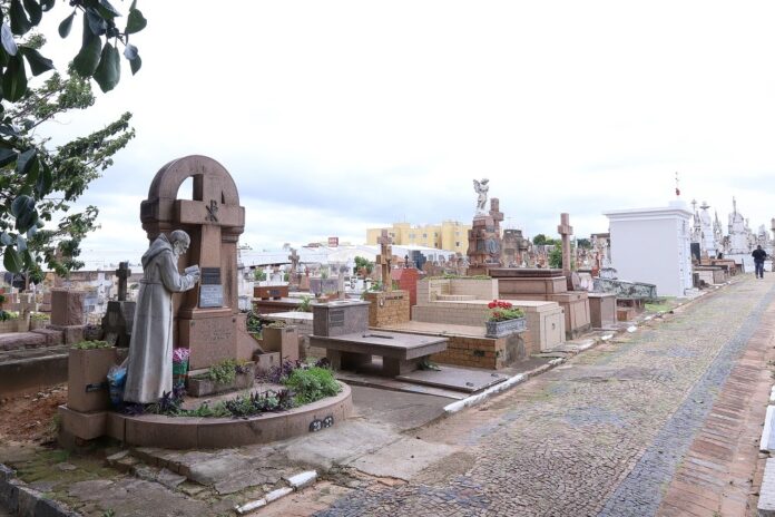 WhatsApp Image 2024-11-02 at 09.42.33