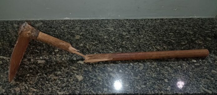 WhatsApp Image 2024-11-06 at 06.02.39 (2)