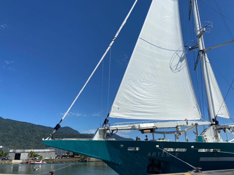 Porto de São Sebastião fará primeira exportação de café brasileiro em veleiro cargueiro