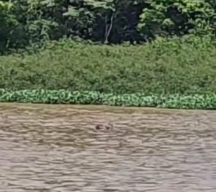 WhatsApp Image 2024-11-21 at 06.54.56