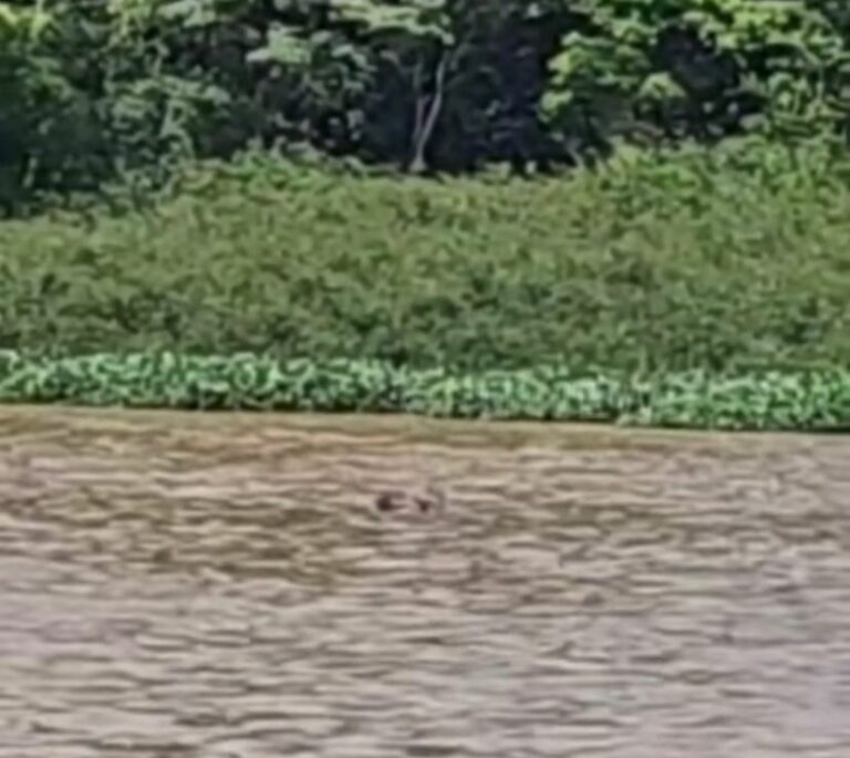 Desaparecido desde sábado (16), homem de 49 anos é encontrado morto no Rio Pardo