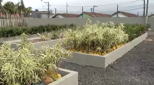 Praia Grande implanta central de compostagem e novo viveiro