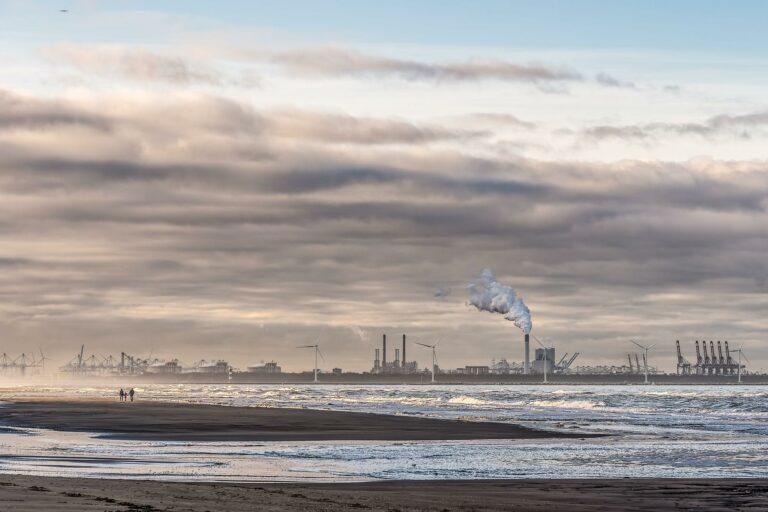 COP 29: Países ricos não chegam a acordo de ‘financiamento climático’; advogada marítima comenta o assunto
