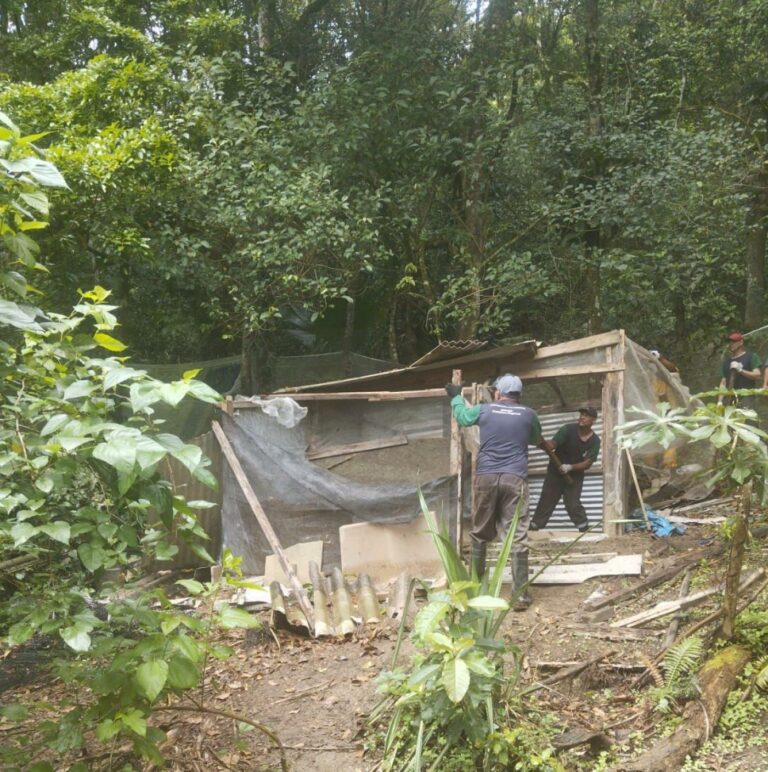 Força-tarefa inibe ampliação de construção irregular em área de proteção ambiental