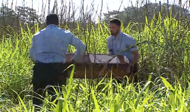 As partes do corpo foram encaminhadas ao Instituto Médico Legal (IML) de Campinas para perícia.