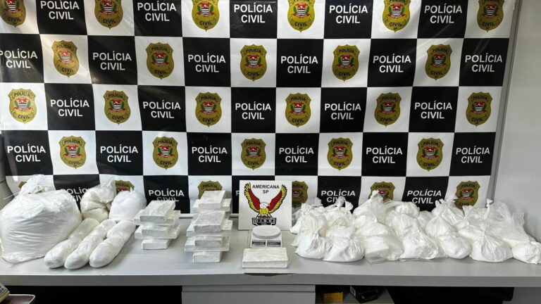 os policiais encontraram 16 tijolos de cocaína, pesando 16,3 quilos, e 33 sacos contendo 29,5 quilos de cocaína em pó.