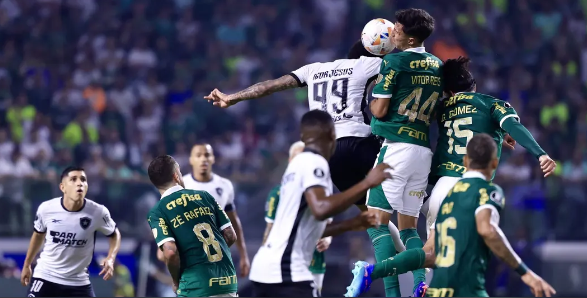 Botafogo reage e retoma do Palmeiras a liderança do Campeonato Brasileiro