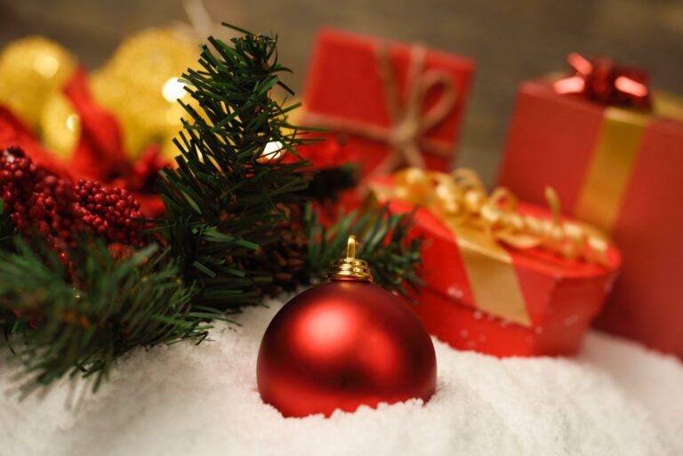 Shopping de Santos celebra a Magia do Natal com a chegada do Papai Noel neste sábado;Confira!