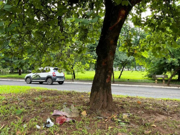 1733831993_66529 Foto: Divulgação