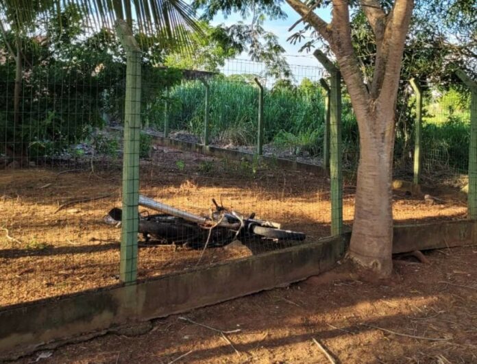 1734042022_61542 Foto: Divulgação