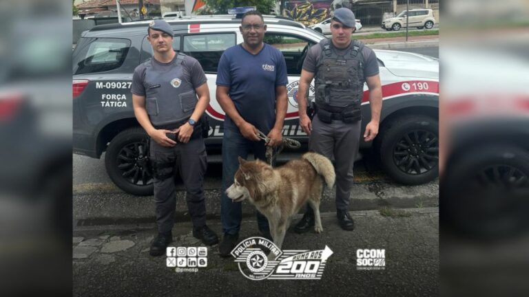 PM salva cachorro prestes a ser atropelado e devolve ao dono em Santos