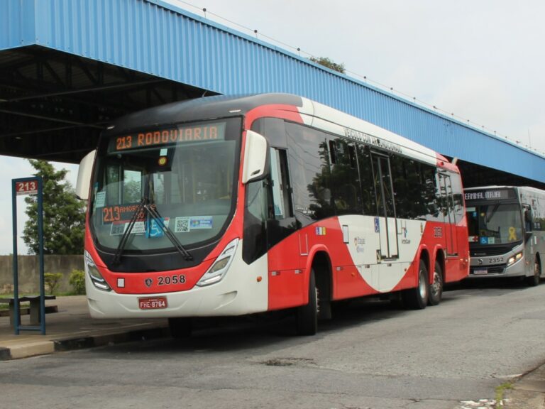 Linha 213.1 (Terminal Itajaí – Centro) retoma atendimento com novo prefixo (219)