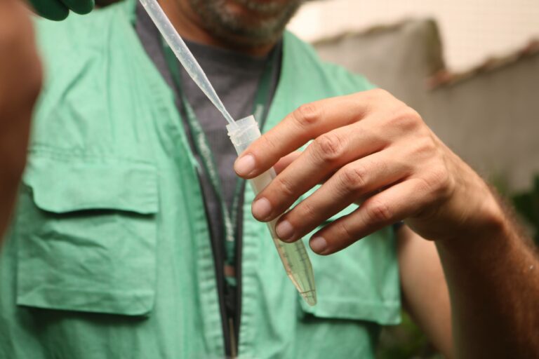 Mutirões contra o Aedes em Santos detectam menos focos em 2024, mas alerta para combate a doenças continua