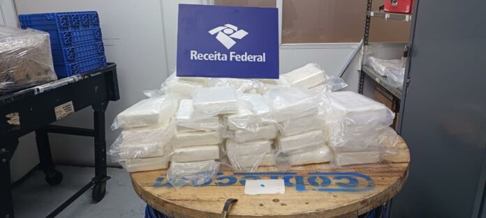 WhatsApp Image 2024-12-05 at 16.33.40