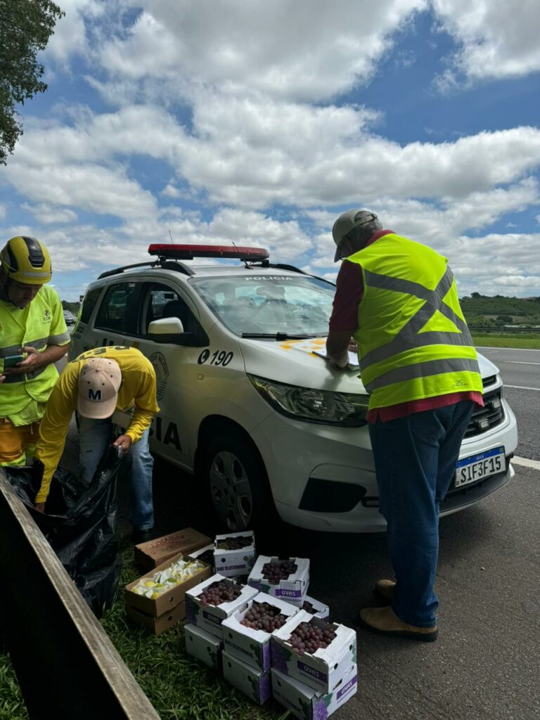 Polícia Rodoviária apreende mais de 100 caixas de fruta por venda irregular na Bandeirantes