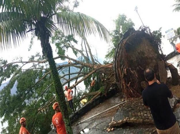 Vento chega a 77 km/h e deixa estragos no Litoral Norte Vento chega a 77 km/h e deixa estragos no Litoral Norte