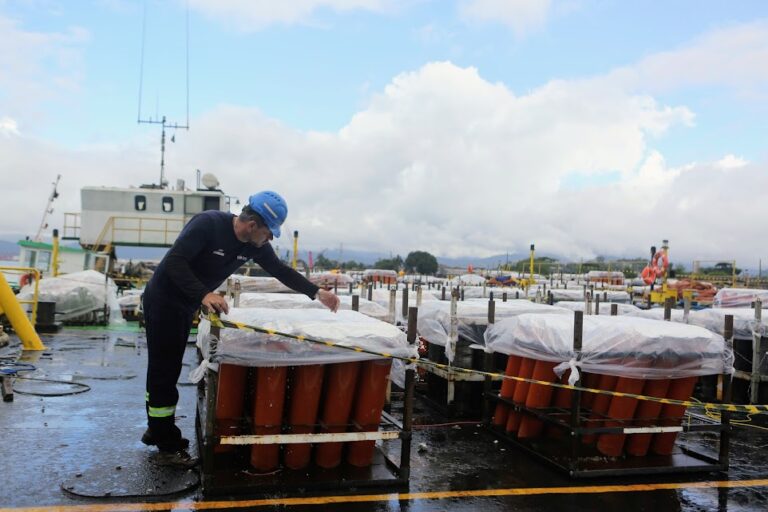 Balsas com fogos do Réveillon de Santos passam por vistoria