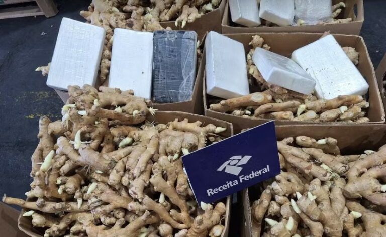 Receita Federal apreende mais de 200 quilos de cocaína no Porto de Santos