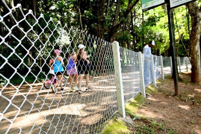 Lagoa do Taquaral começa a receber alambrado: investimento de mais R$ 300 mil