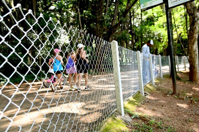 Lagoa do Taquaral começa a receber alambrado: investimento de mais R$ 300 mil
