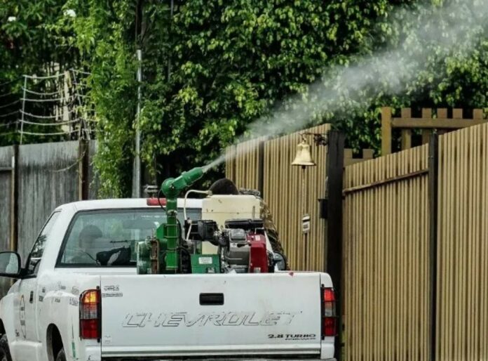 Foto: (Rafa Neddermeyer/Agência Brasil)