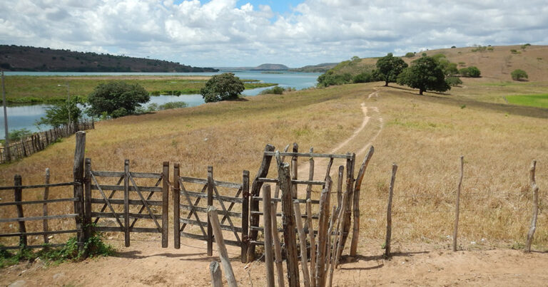 Processo de desertificação aumenta ao redor do mundo