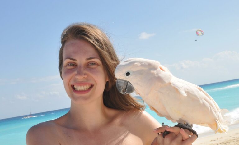 Família que estava a bordo do avião que caiu na praia, em Ubatuba, vinha de Goiás