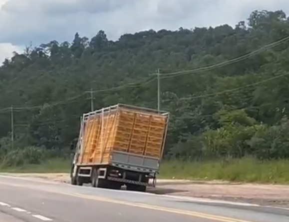 Caminhão derruba carga de galinhas em rodovia de Várzea Paulista