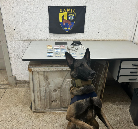 Captura de tela 2025-01-13 071954