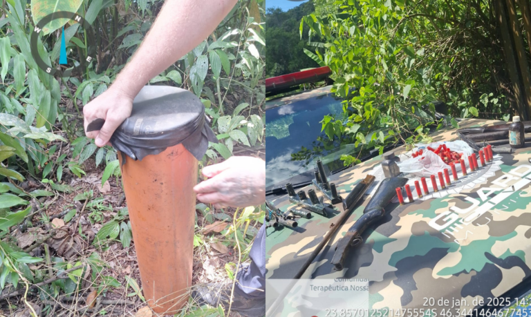 Briga entre irmãos acaba em apreensão de armas escondidas em área de mata em Santos