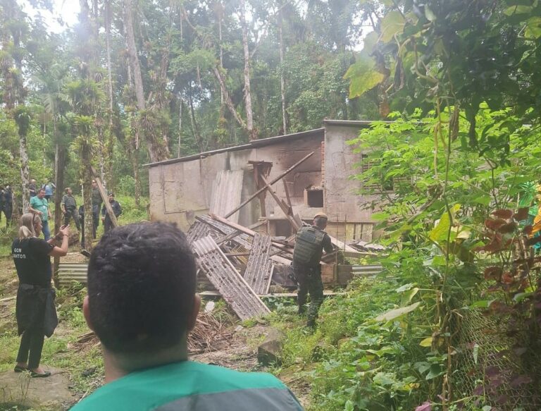 Força-tarefa remove construções irregulares em área de preservação ambiental em Santos