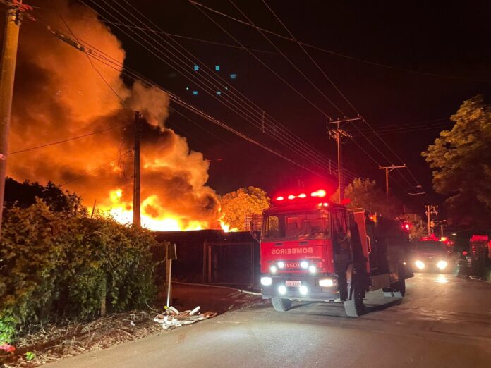 WhatsApp Image 2025-01-01 at 13.38.07