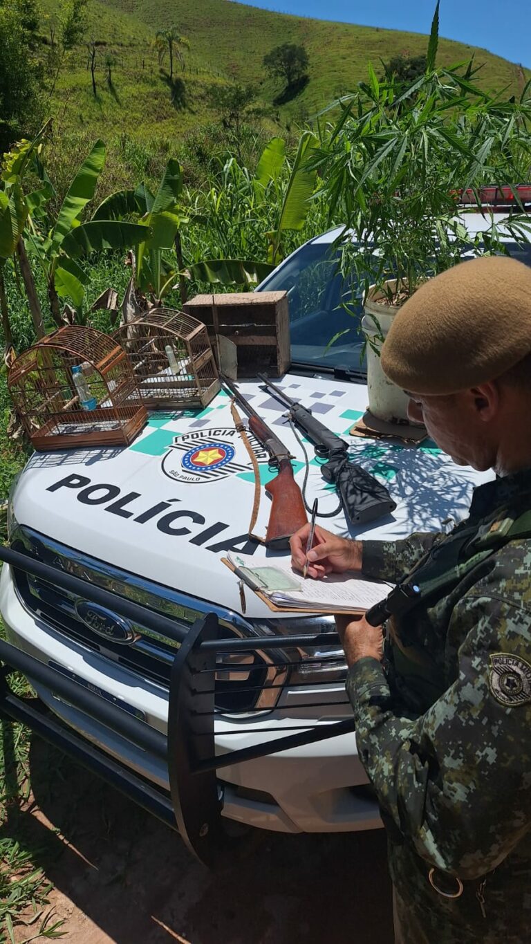 Homem é preso com armas, muda de maconha e aves criadas sem autorização em Guaratinguetá