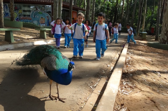 Parque Ecológico oferece curso gratuito de férias para crianças em Americana