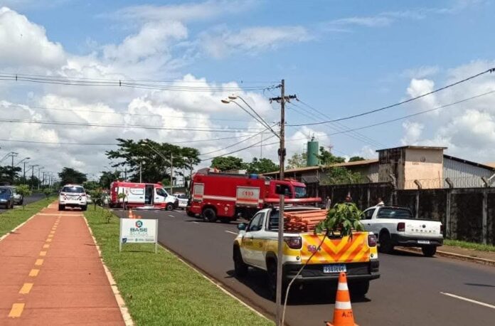 WhatsApp Image 2025-01-10 at 06.48.16