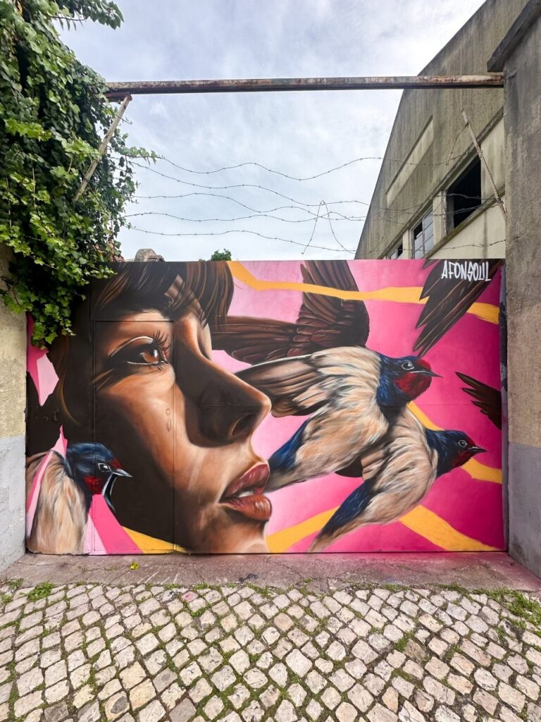 Santista Afonsoul concorre a prêmio internacional de Street Art