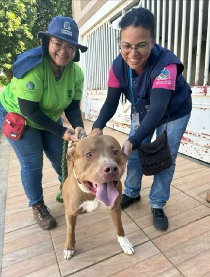 Foto: Divulgação | Prefeitura de Araçatuba