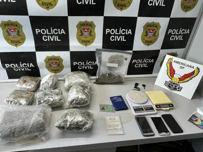 Estufa para plantação de maconha apreendida em operação da polícia civil