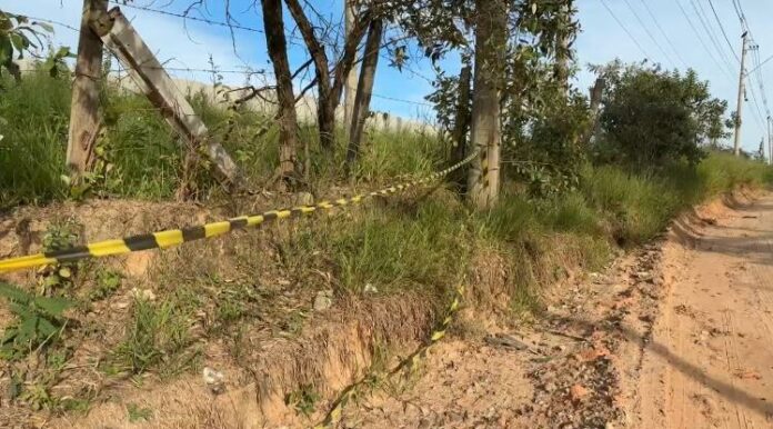 WhatsApp Image 2025-01-22 at 08.29.06