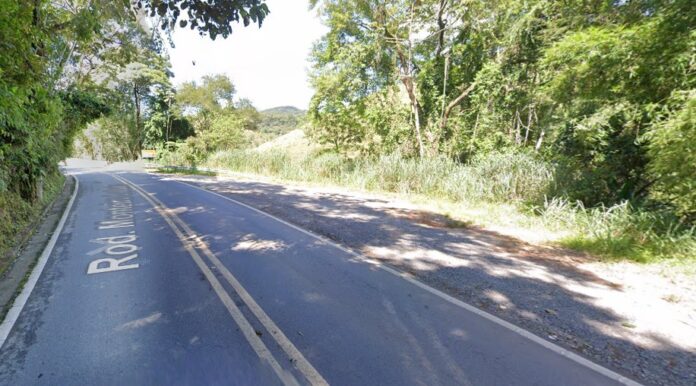 SP-50 tem interdições após chuva causar quedas de árvores e barreiras