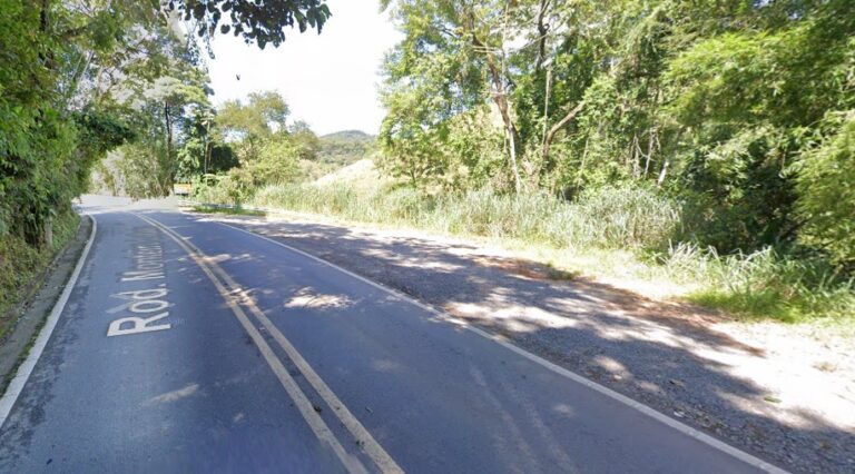 SP-50 tem interdições após chuva causar quedas de árvores e barreiras