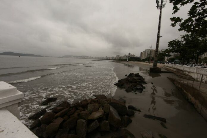 carlos_nogueira_0520