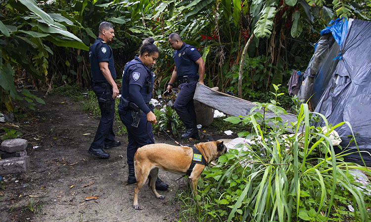 Prefeitura de Itanhaém realiza operação para combater moradias irregulares em áreas de mata pública
