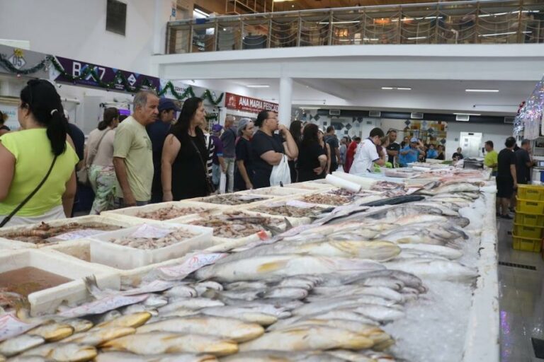 Festival inédito no Mercado de Peixes de Santos oferece pescada a partir de R$19,99